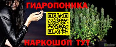 стаф Партизанск