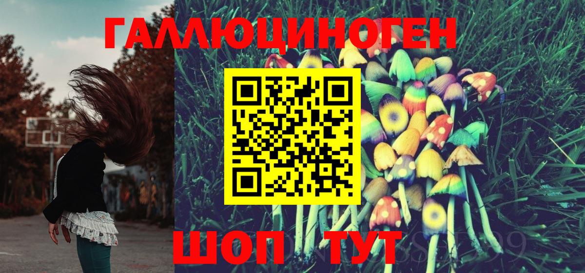 Галлюциногенные грибы Magic Shrooms  Вход с VPN  Шарыпово 