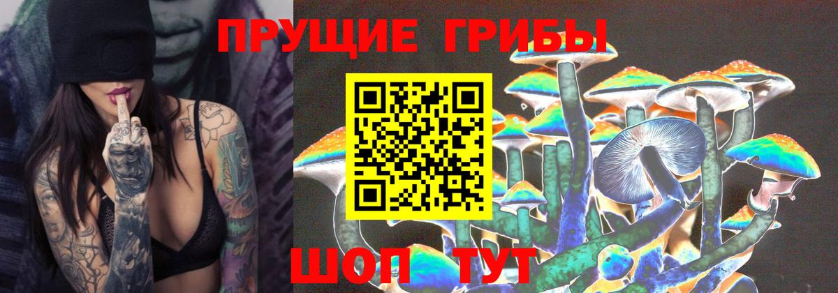 Галлюциногенные грибы мицелий Шарыпово
